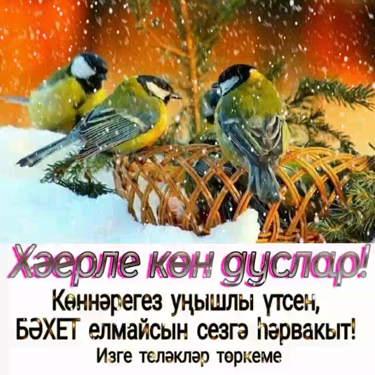 От зари и до зари славят зиму Снегири