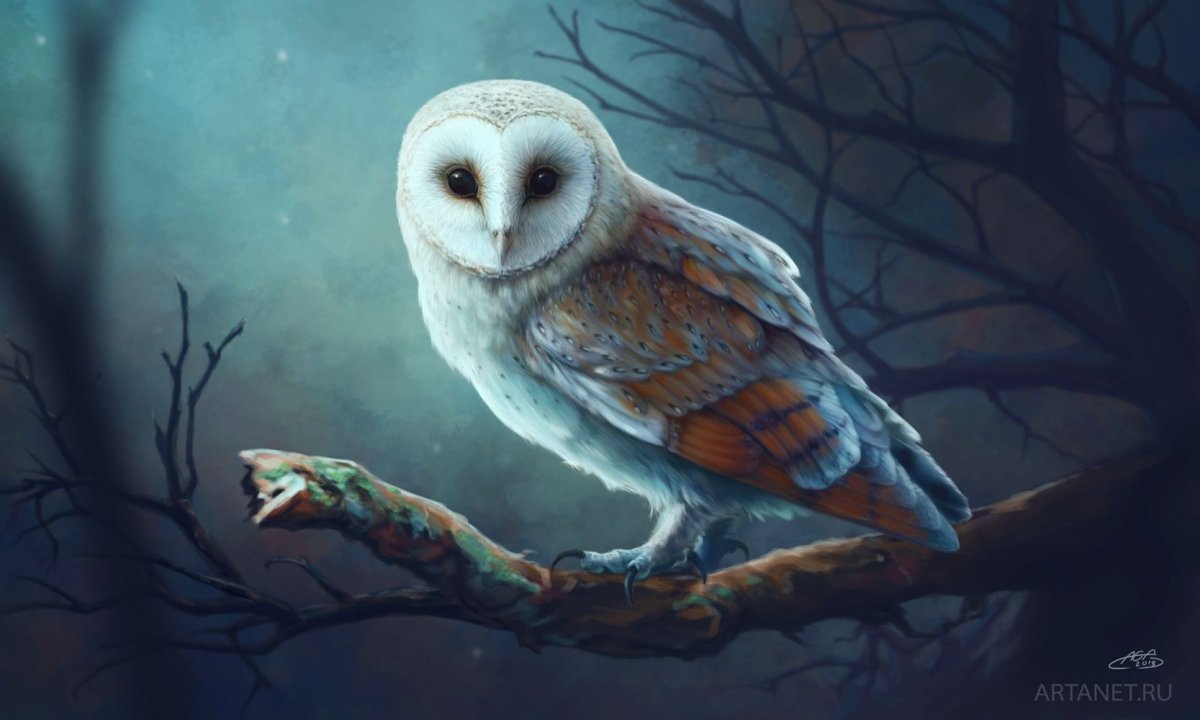 Сова сипуха Тотем