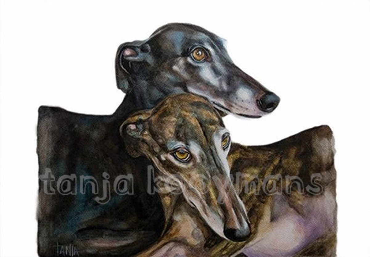 Сабуэсо эспаньоль