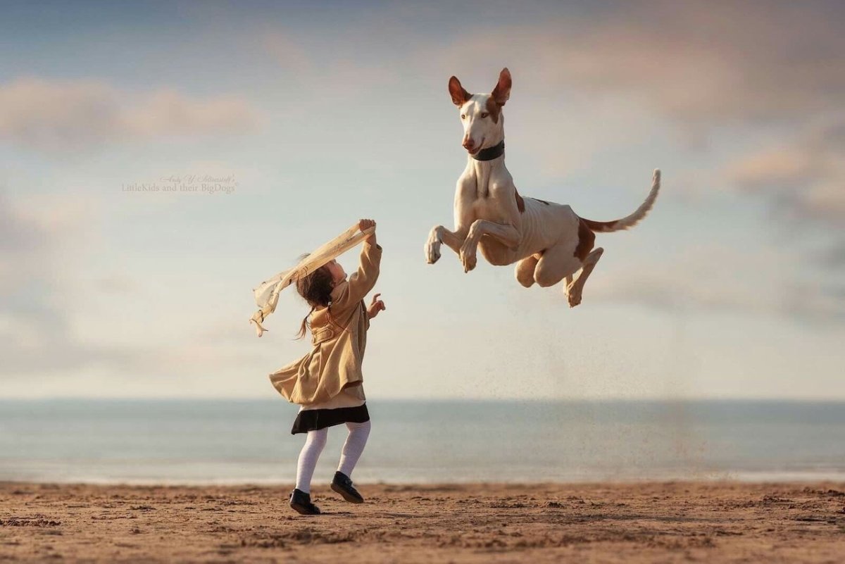 Леопардовая гончая