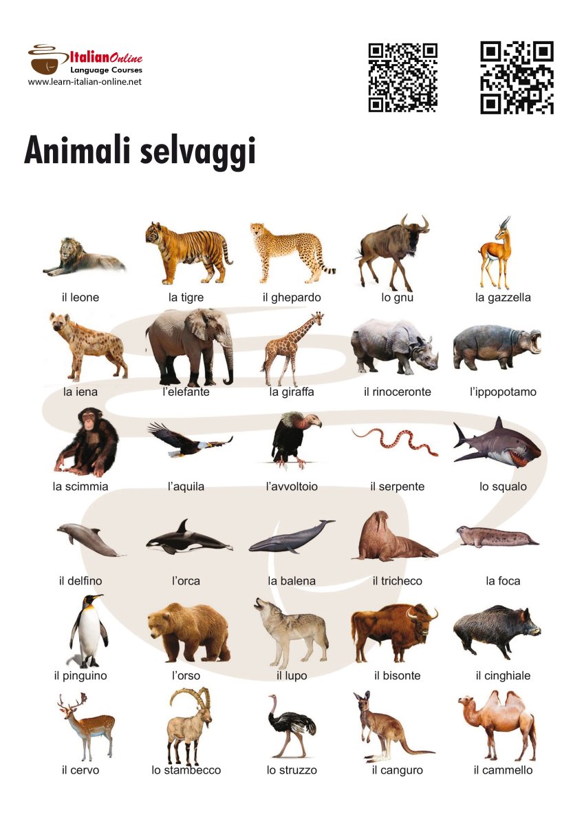 Животные на итальянском