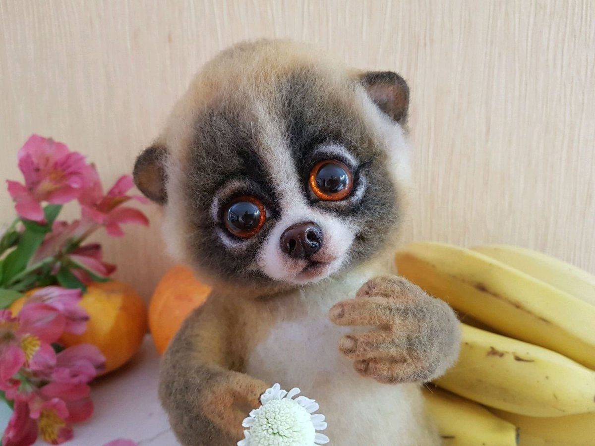 Лемур Лори маленький