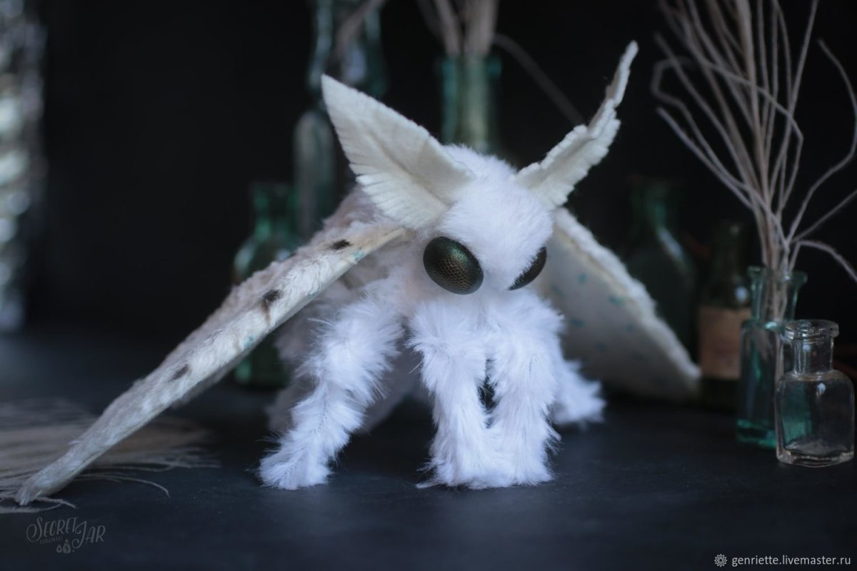 Венесуэльский пуделевый мотылек тутовый шелкопряд