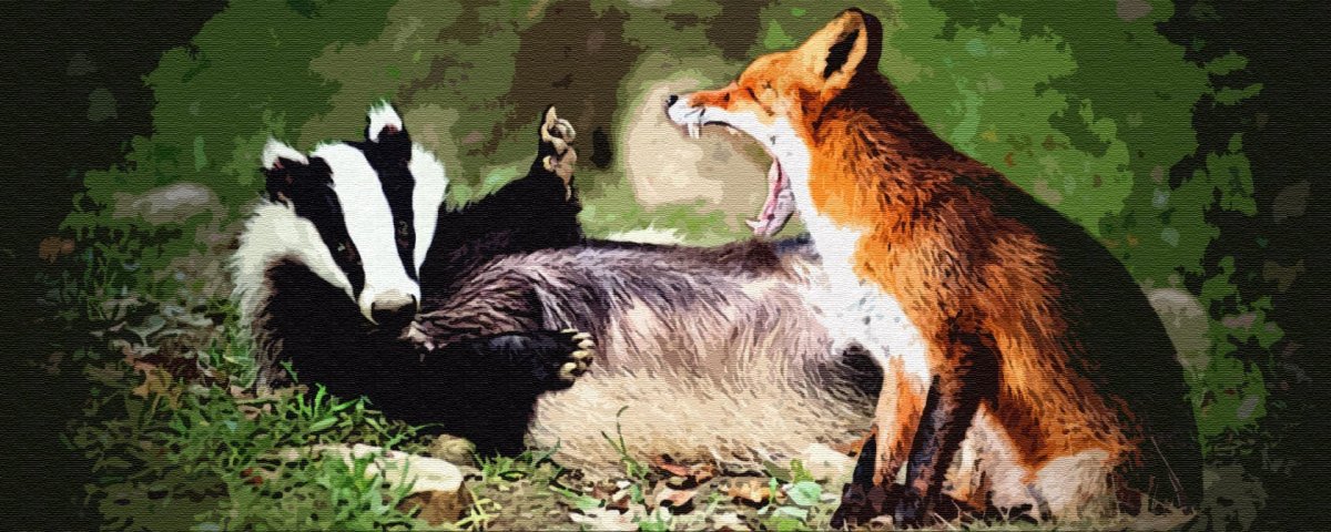 Лиса и барсук сказка
