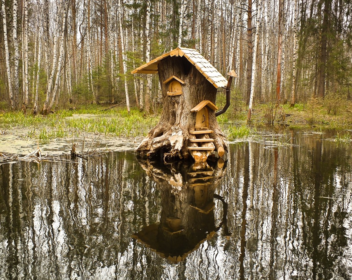 Домик хатке Бобров