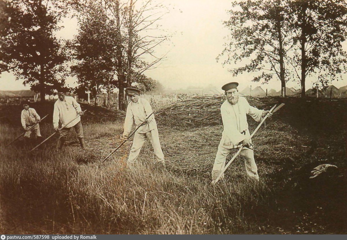 Кот с рыбой в зубах