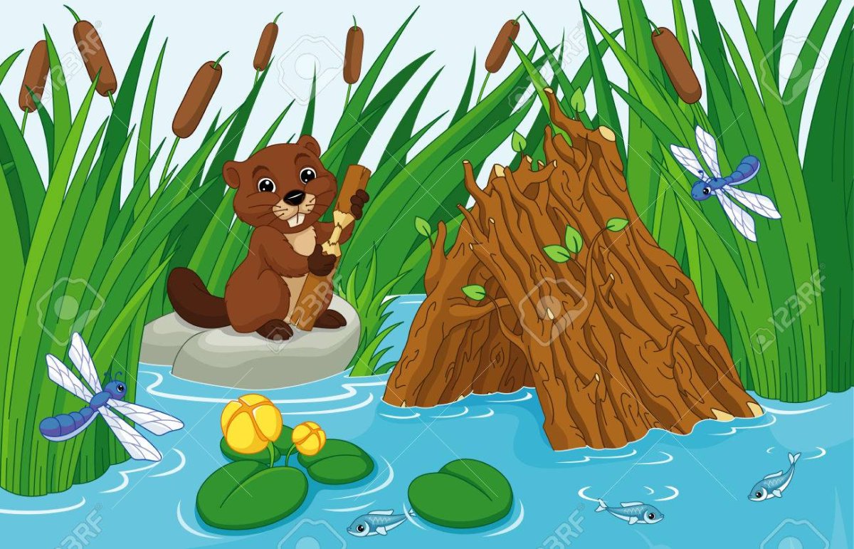 Плотина у Бобров для детей