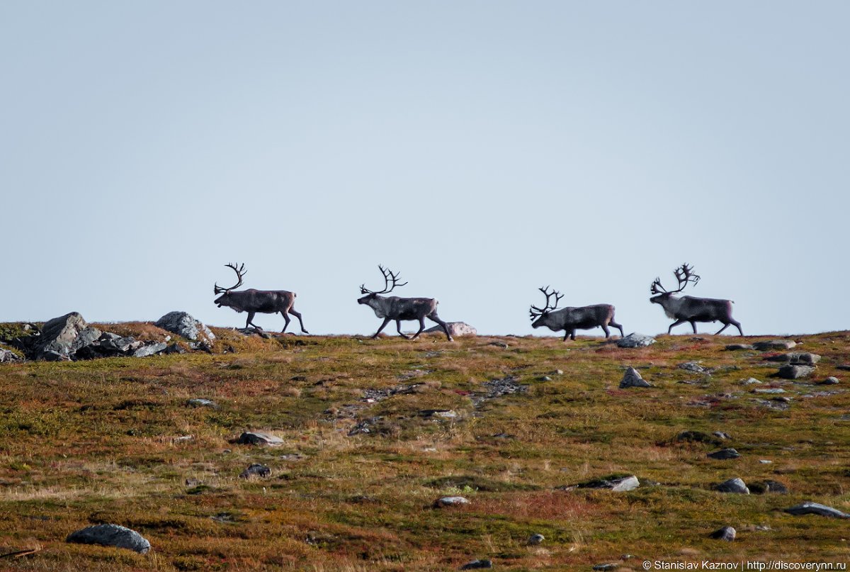 Бухта большое озерко полуостров Рыбачий