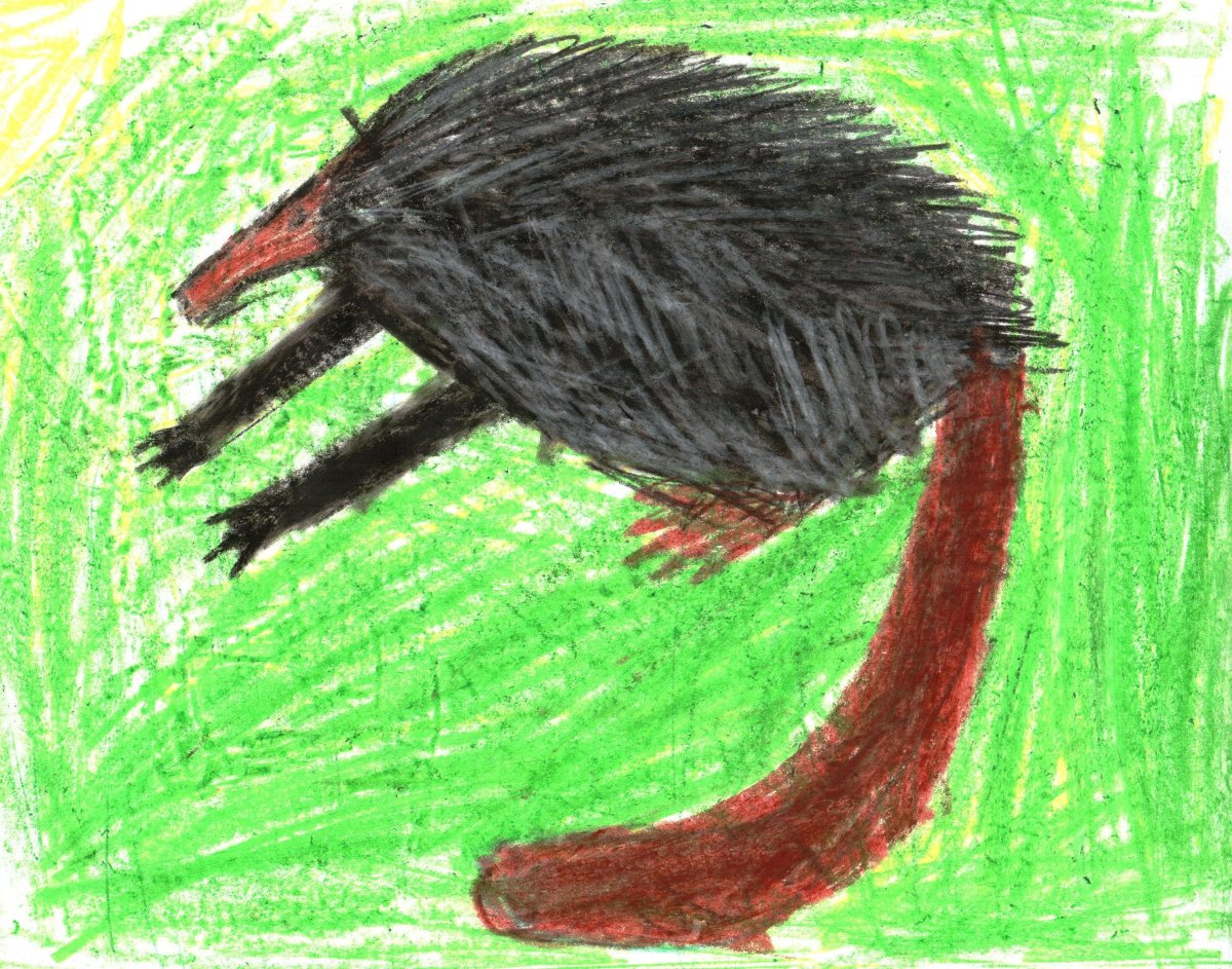 Хоперский заповедник выхухоль