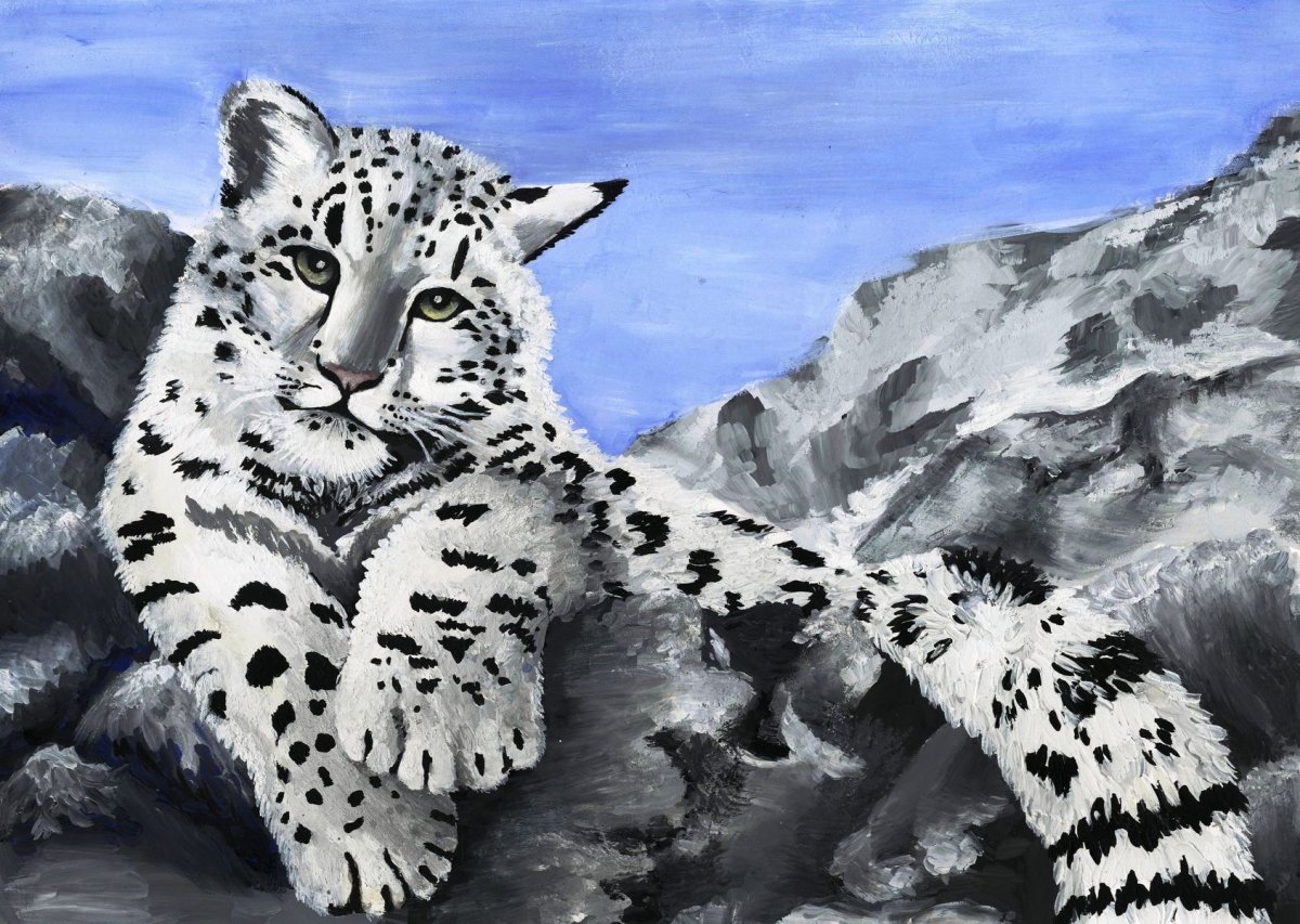 Снежный Барс нападает