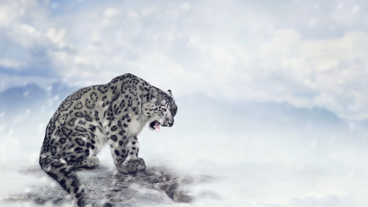 Снежный Барс Киргизия