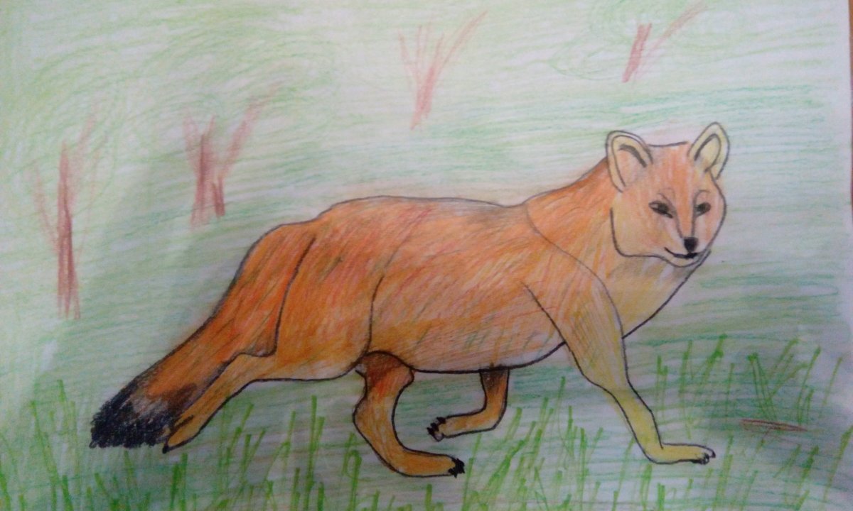 Проект красная книга России 4 класс окружающий мир