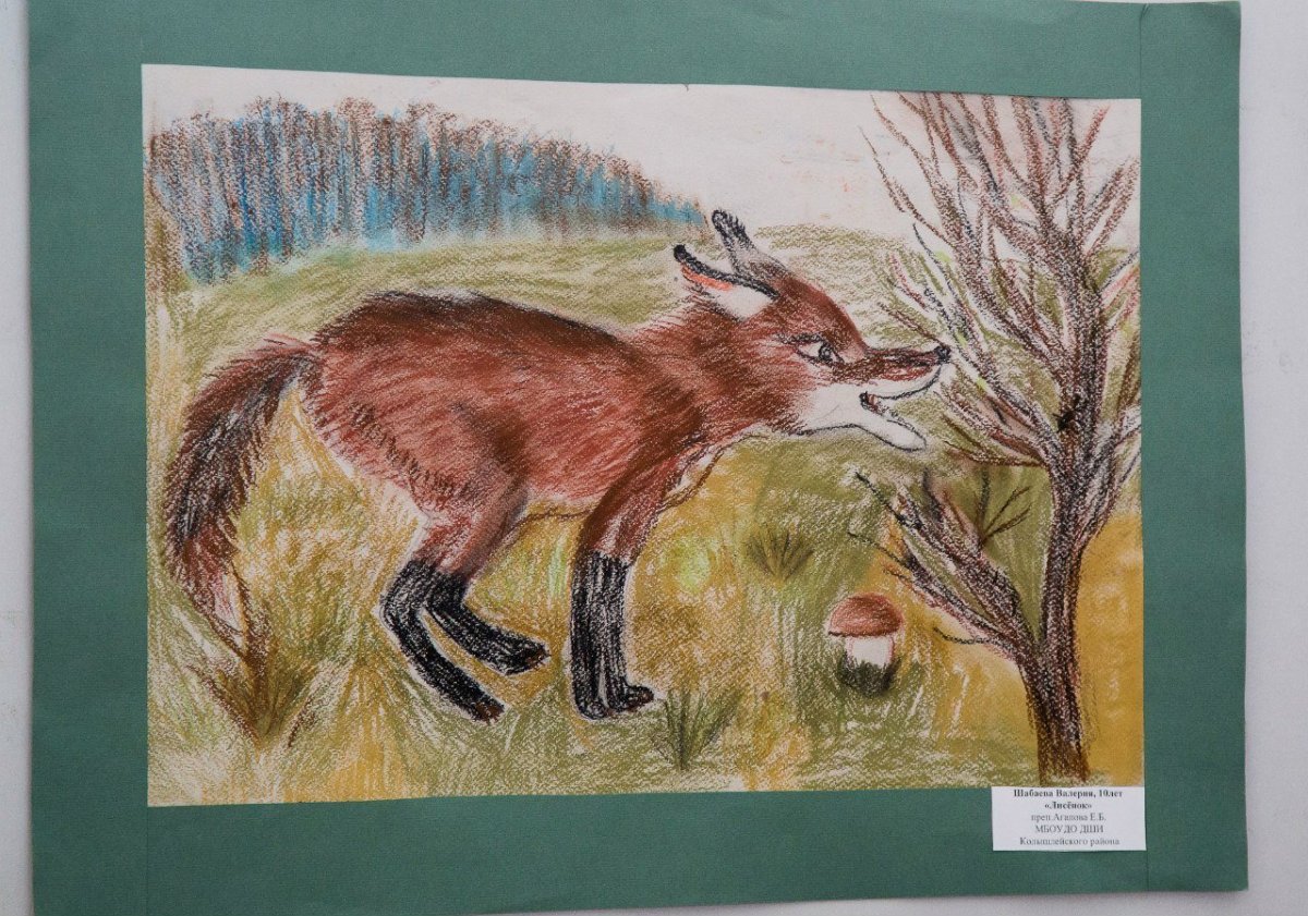 Тайга животные и растения