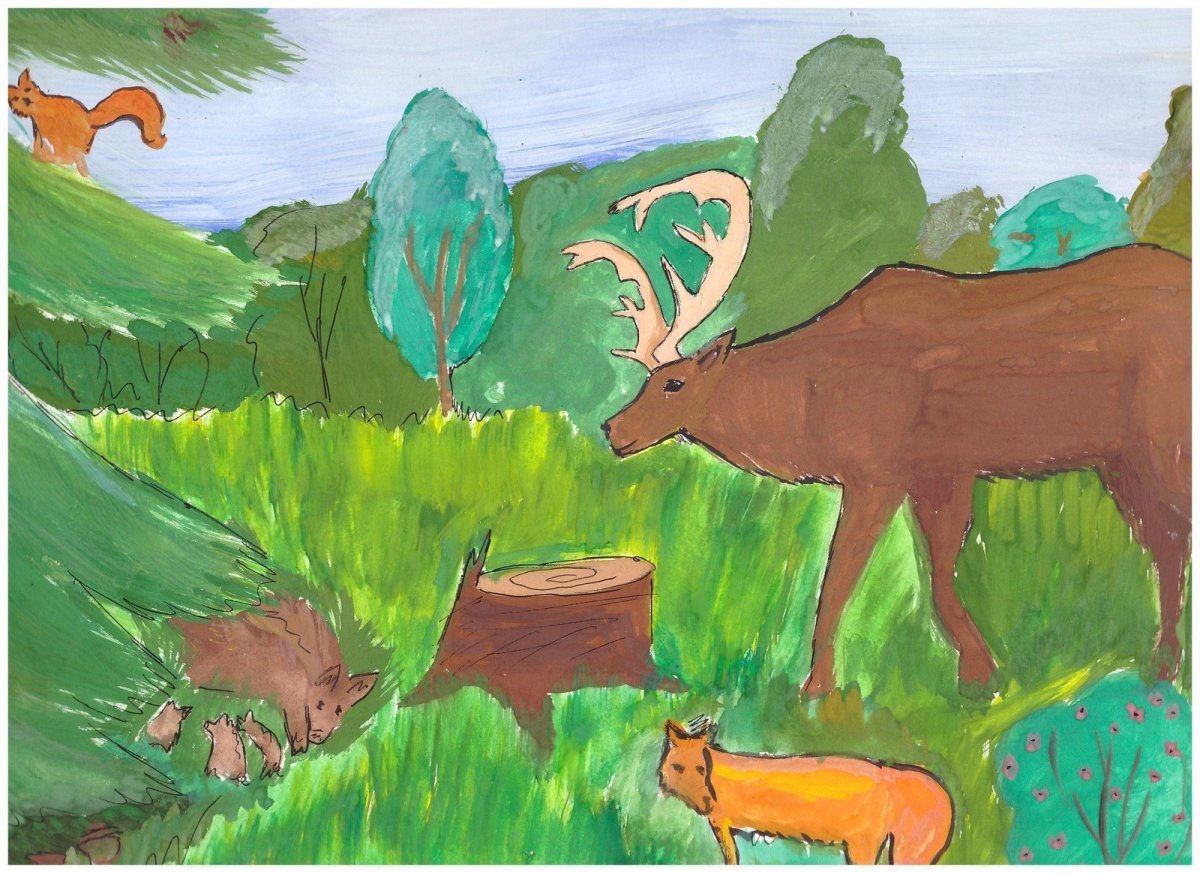 Строение бурундука