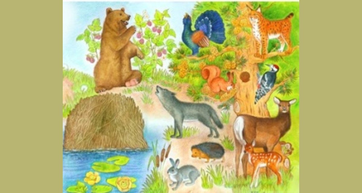 Консультации по теме Дикие животные