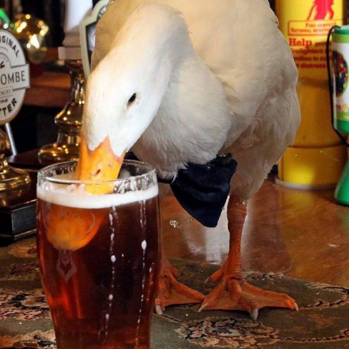 Пафосный Гусь