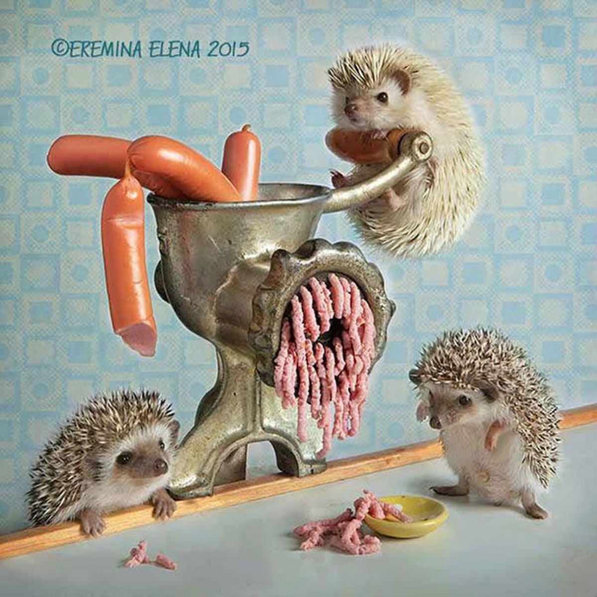 Ёжики Елены Ерёминой