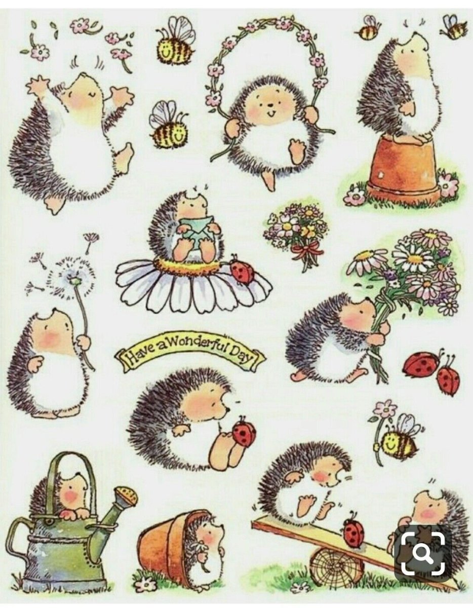 Наклейка еж