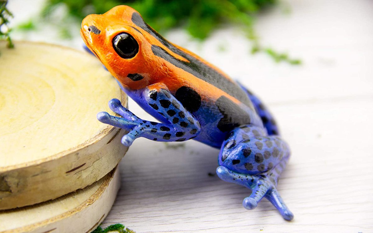Золотая лягушка дротик