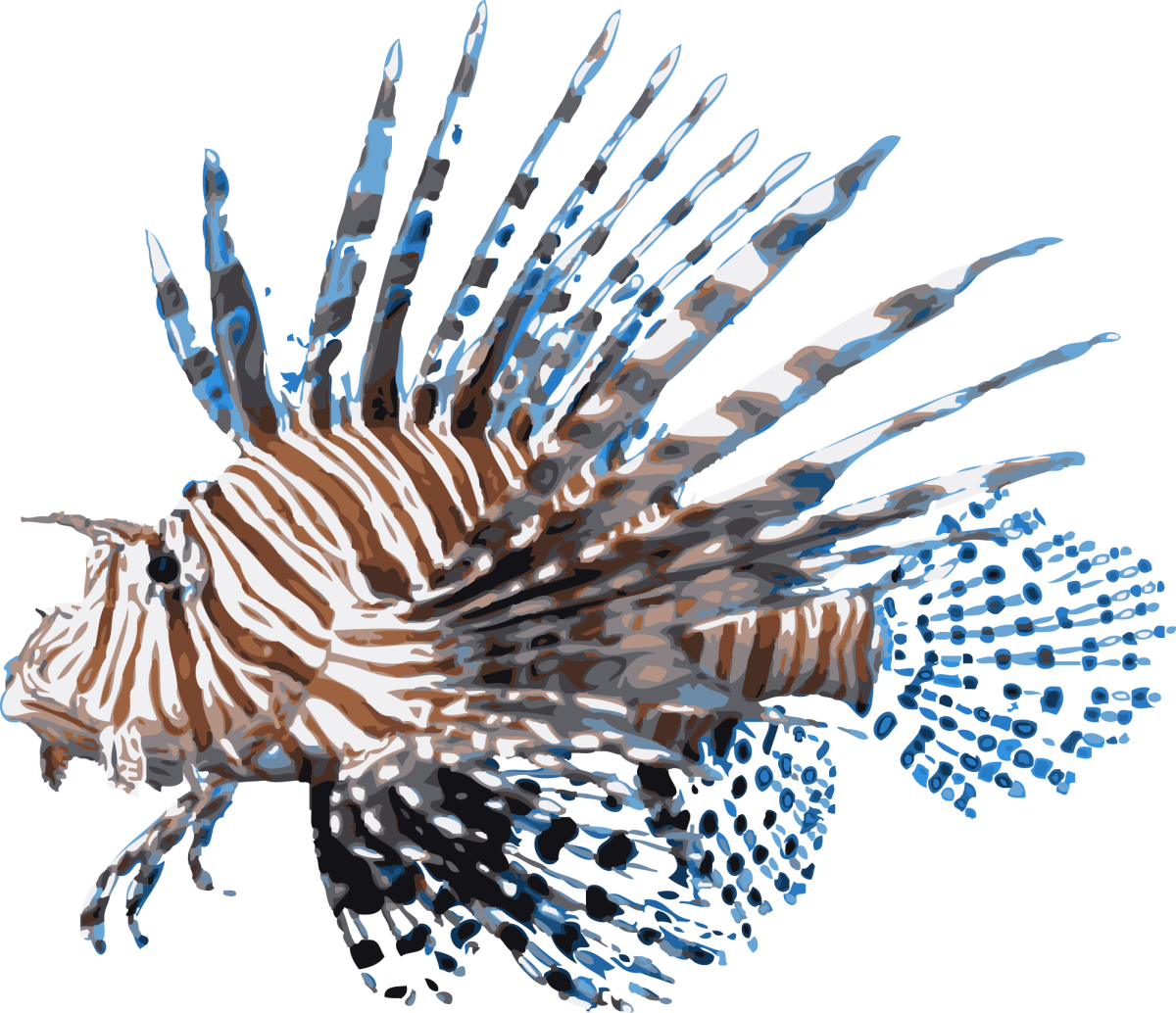 Ребёнок рыбы Крылатки