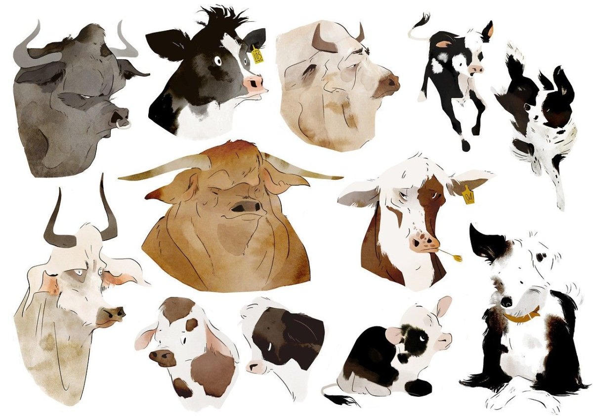 Красивые лохматый коровы