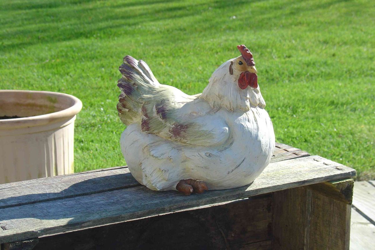 Ангорский пуховой кролик