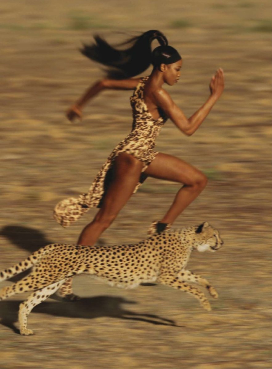 Гепард Дубай