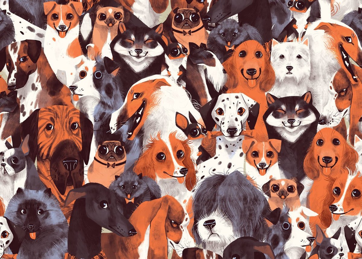 Паттерн домашние животные