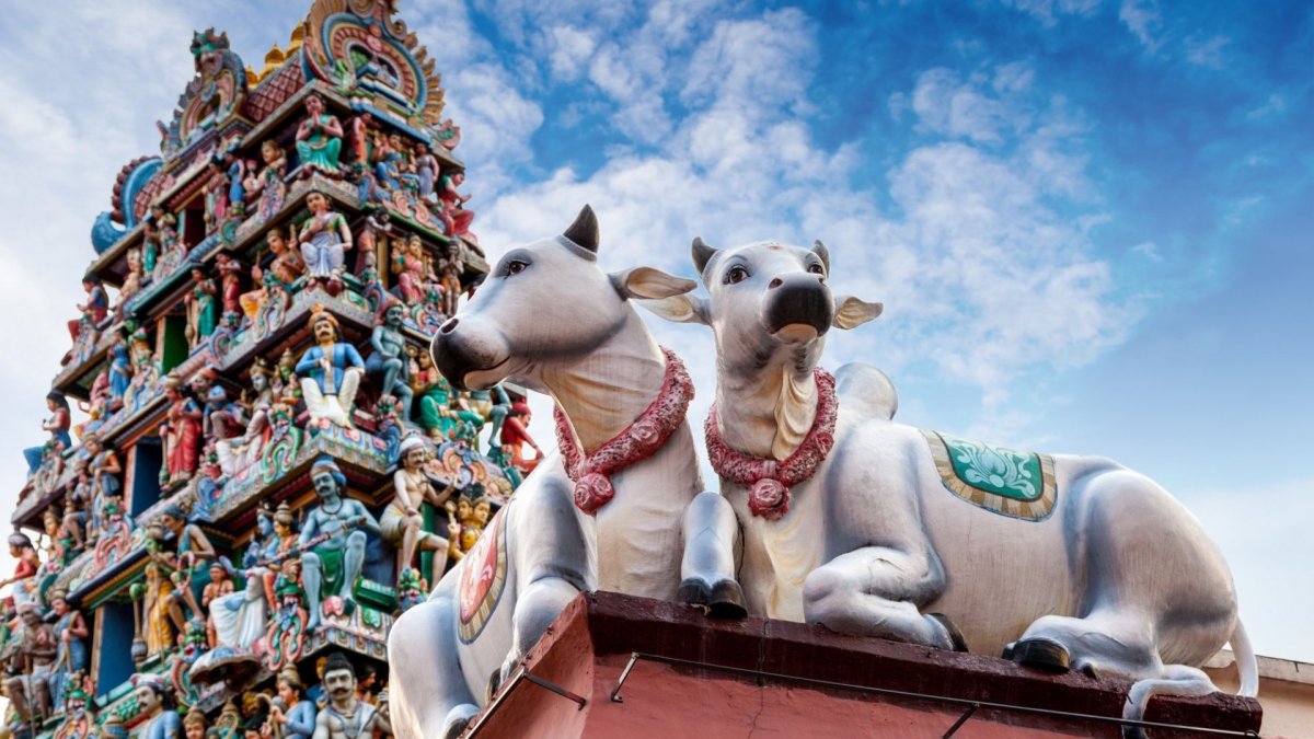 Статуя коровы в Индии