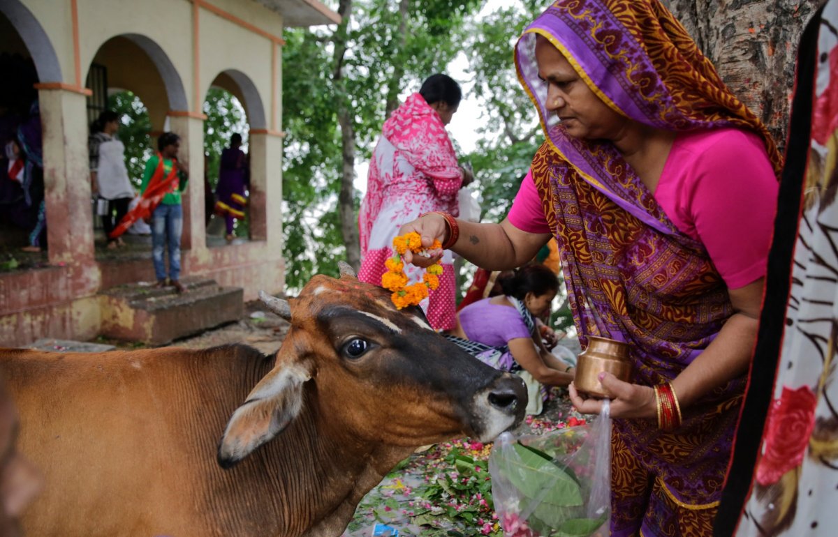 Традиции Индии корова