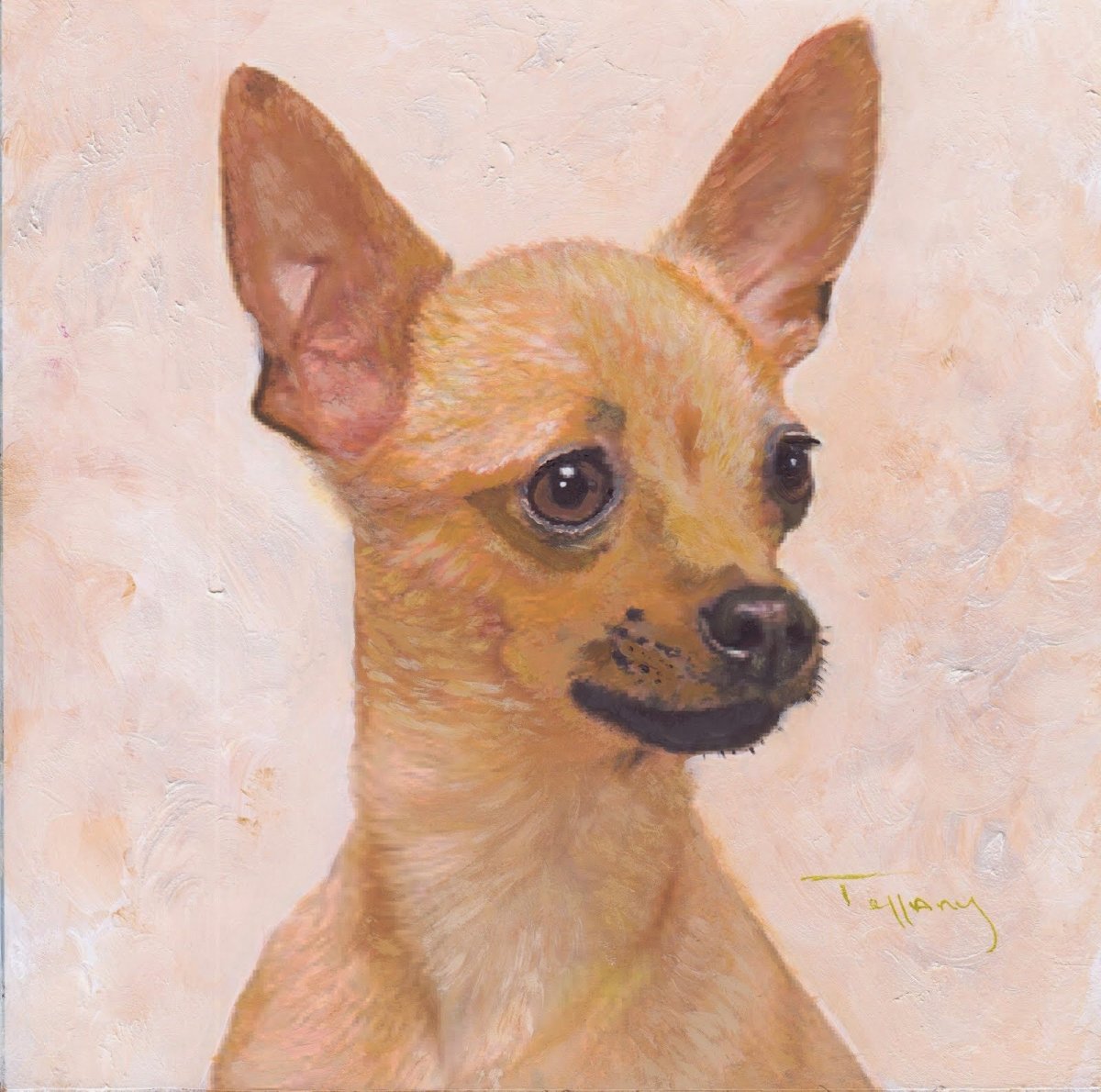 Чихуахуа Чивава