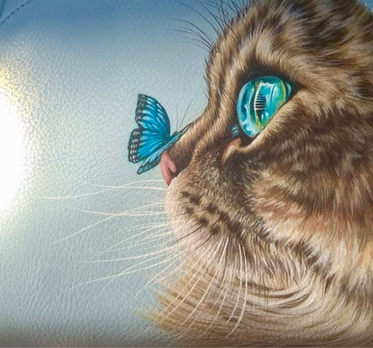 Котик с бабочкой на носу