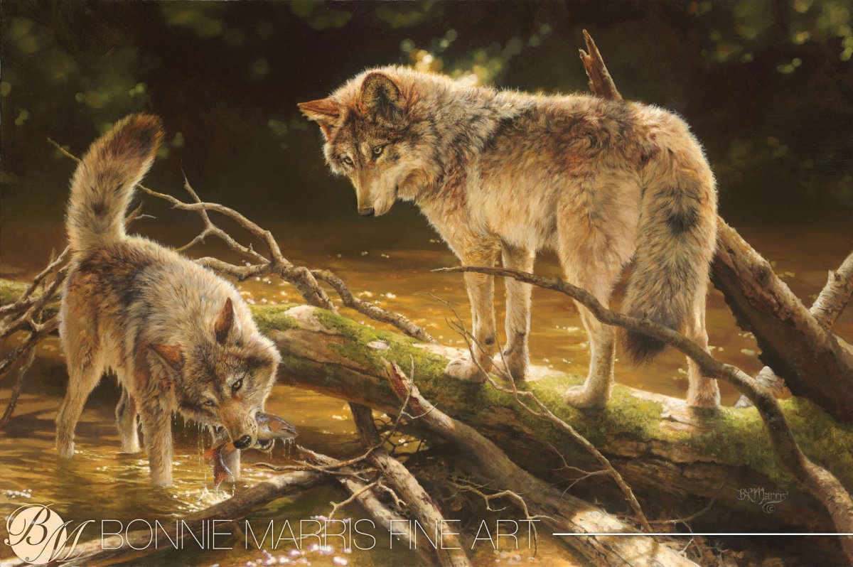 Художница Bonnie Marris.