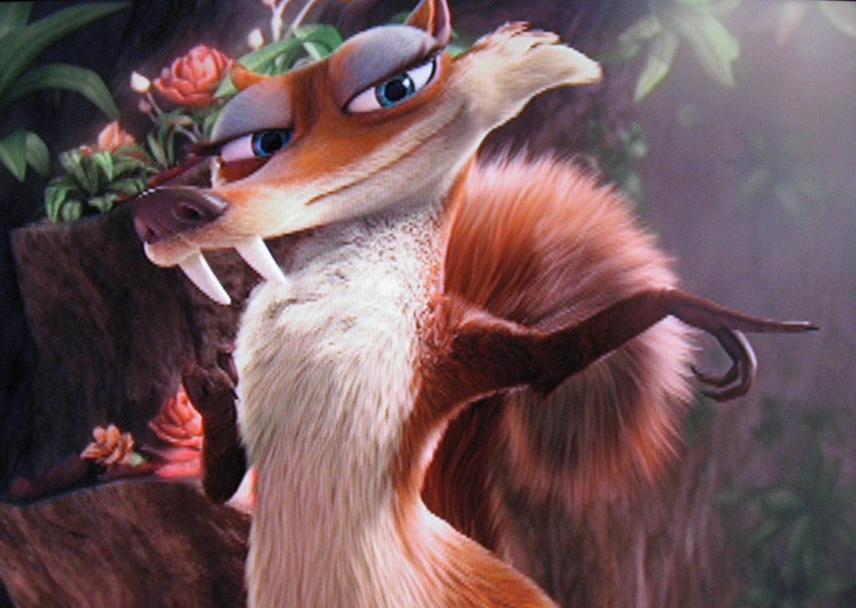 Белка с бельчатами