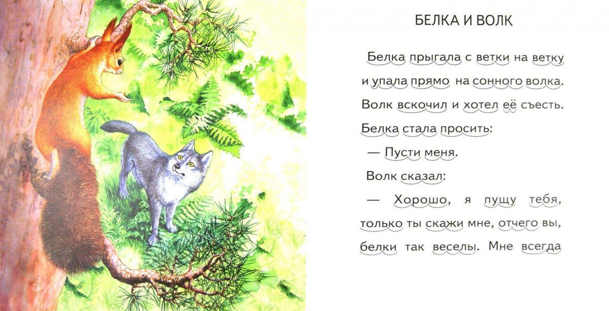 Волки и елки