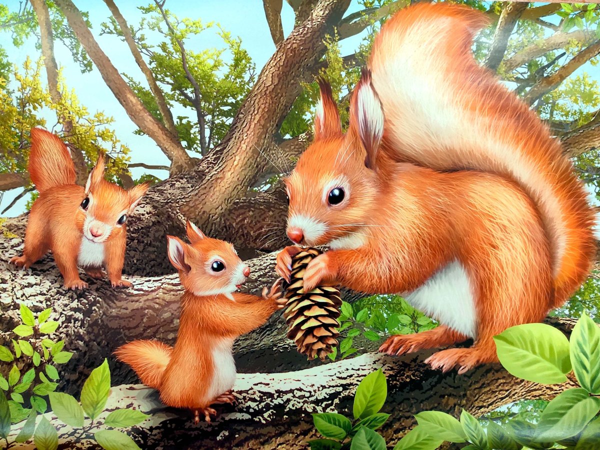 Дикие животные белка и Бельчонок