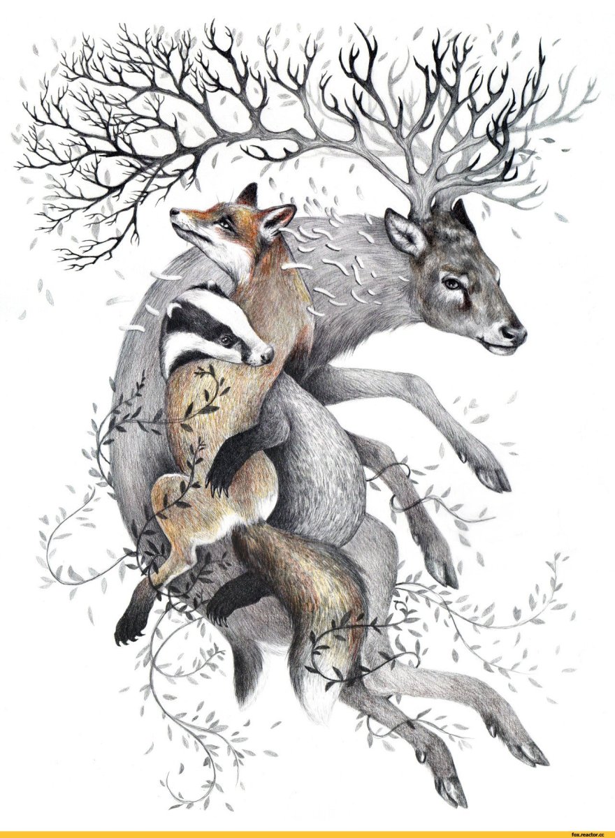 Ледниковый период Скрэтти