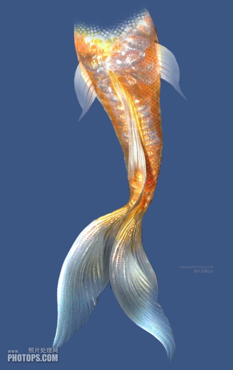 Русалий хвост