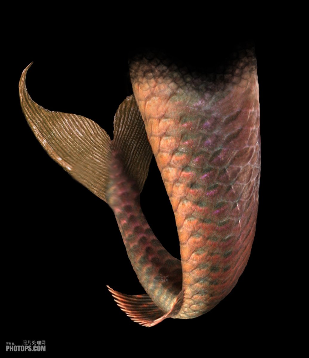 Чешуйчатый хвост русалки