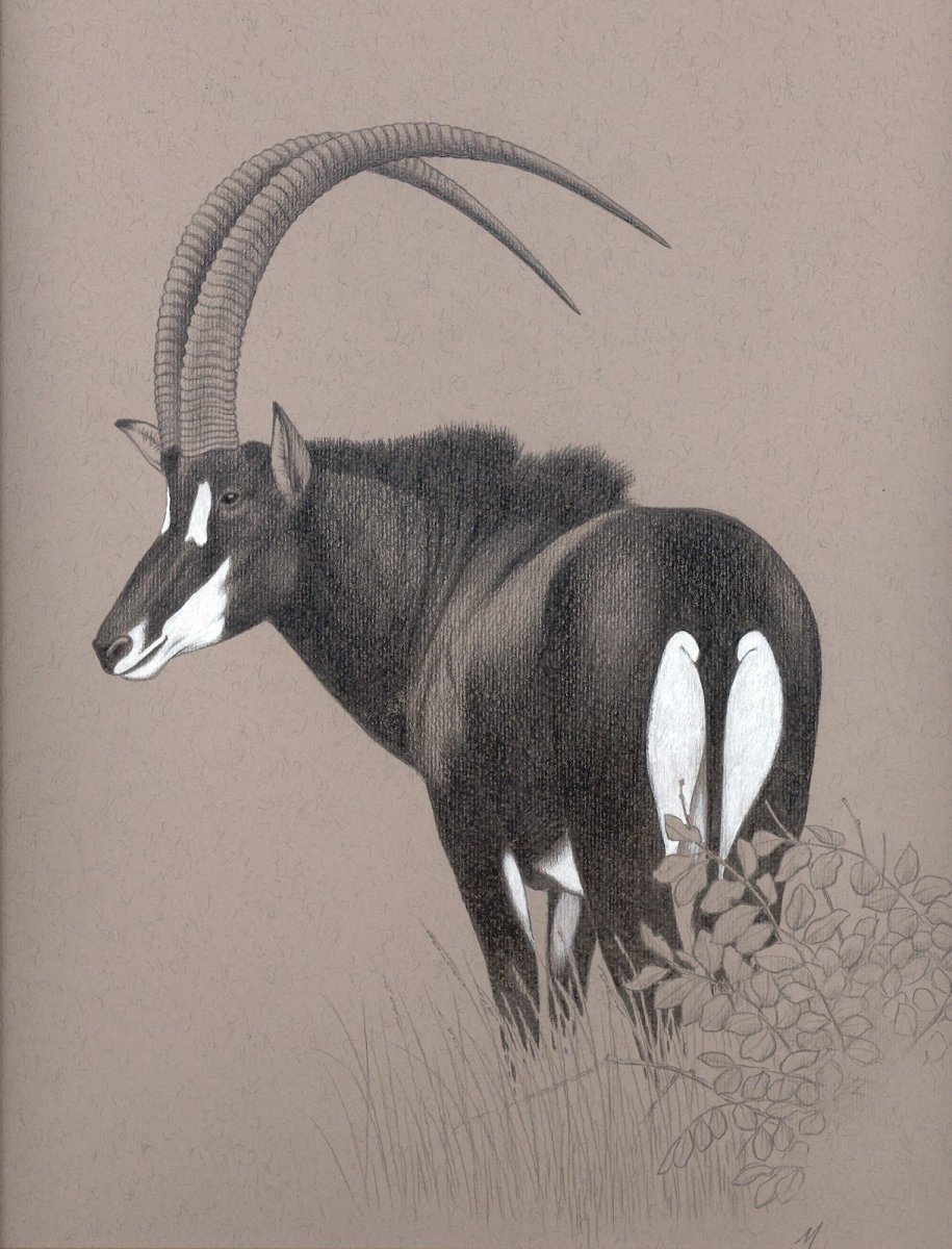 Охота на оленя