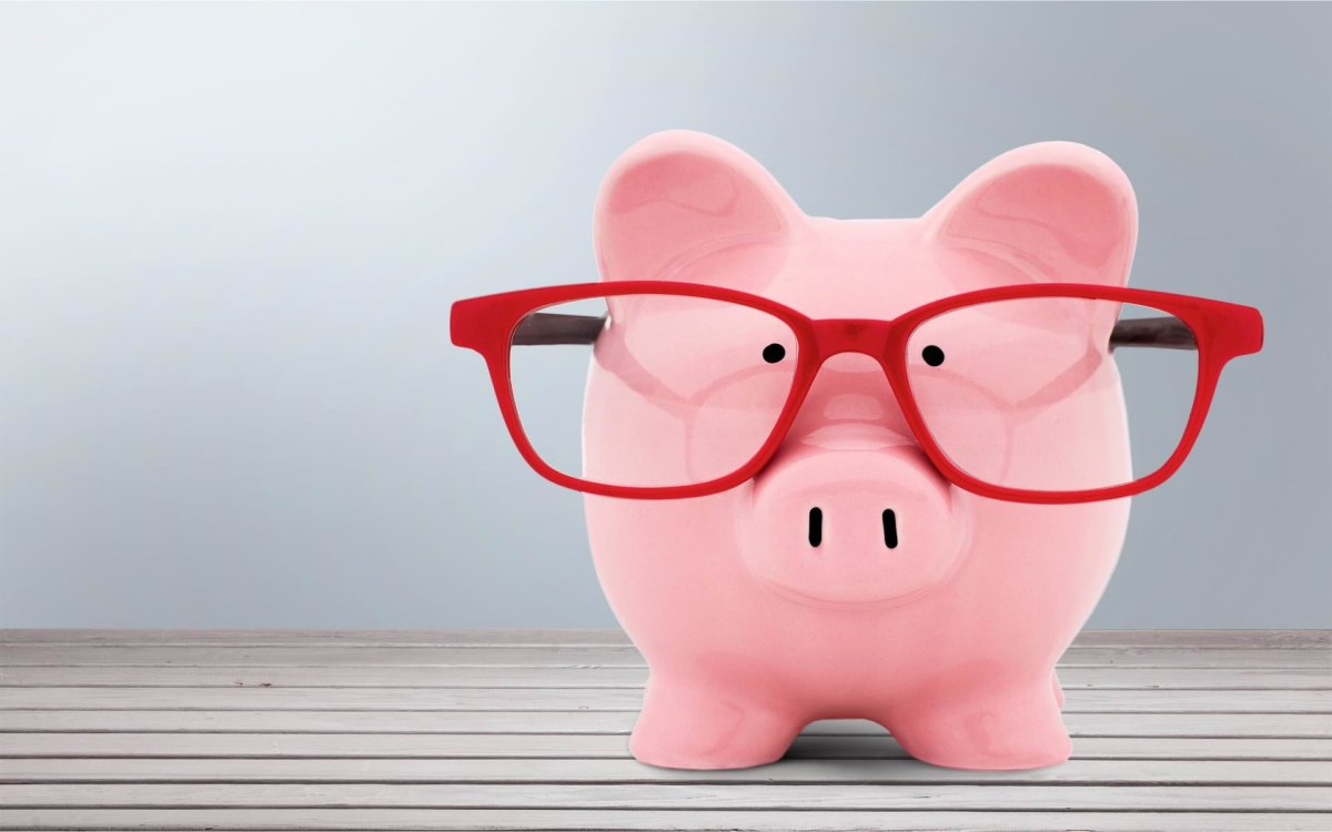 Свинка в очках