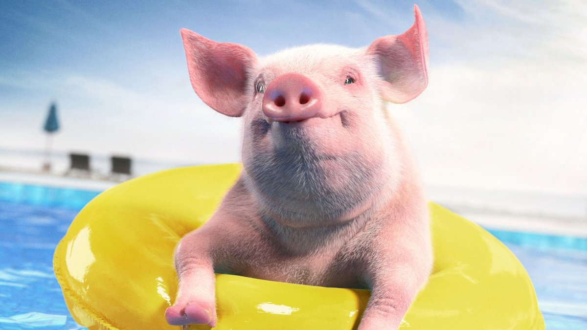 Надувной круг поросенок