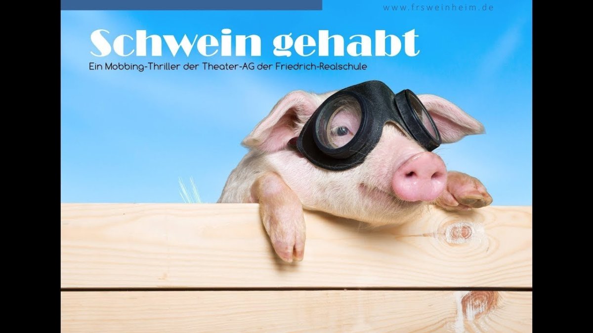 Поросенок в очках