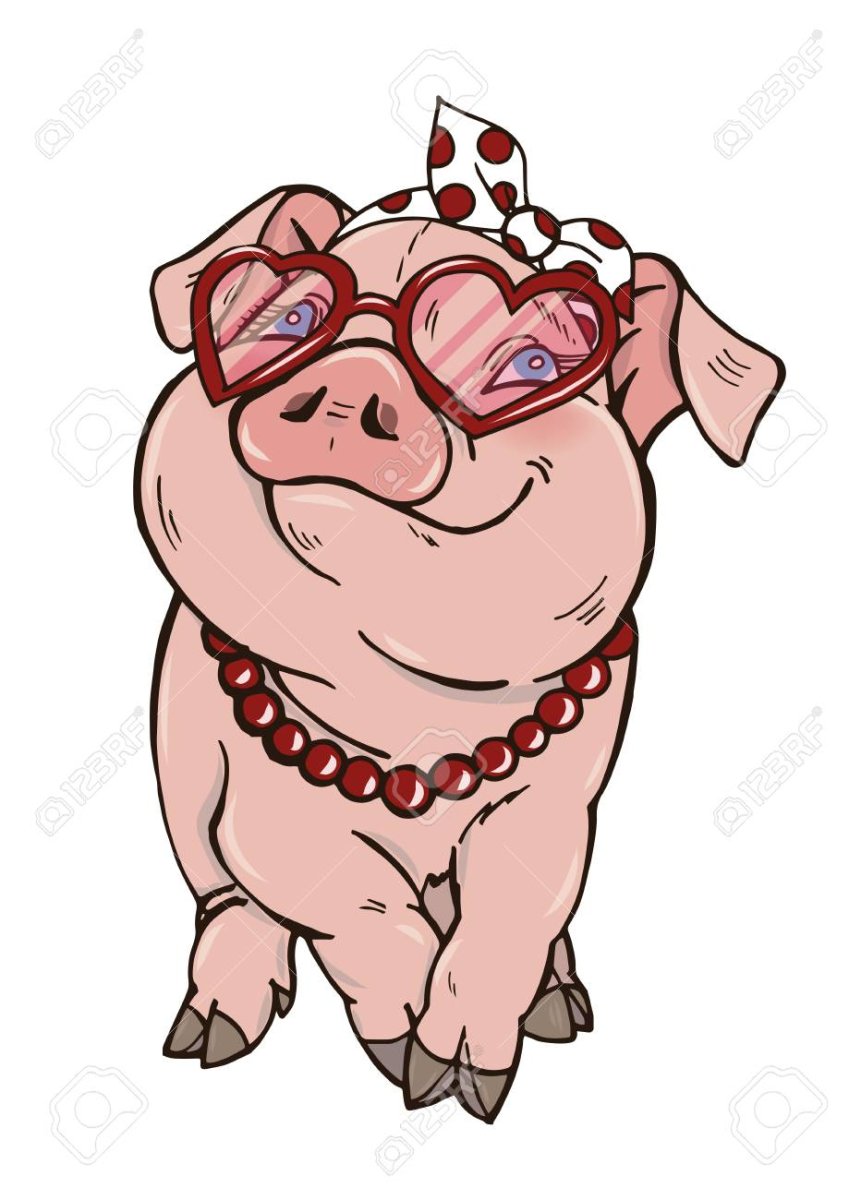 Свинья в солнечных очках