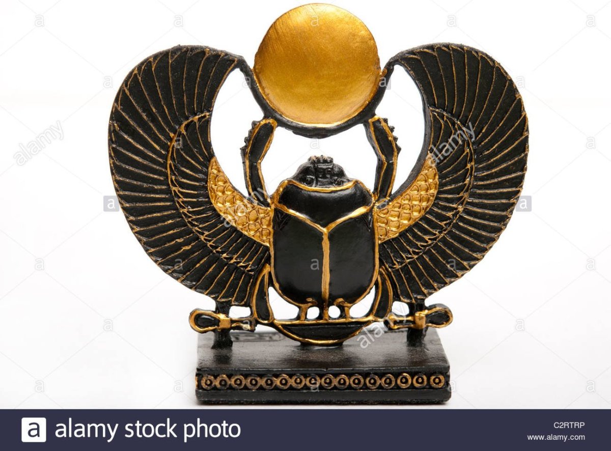 Жук скарабей навозный Жук