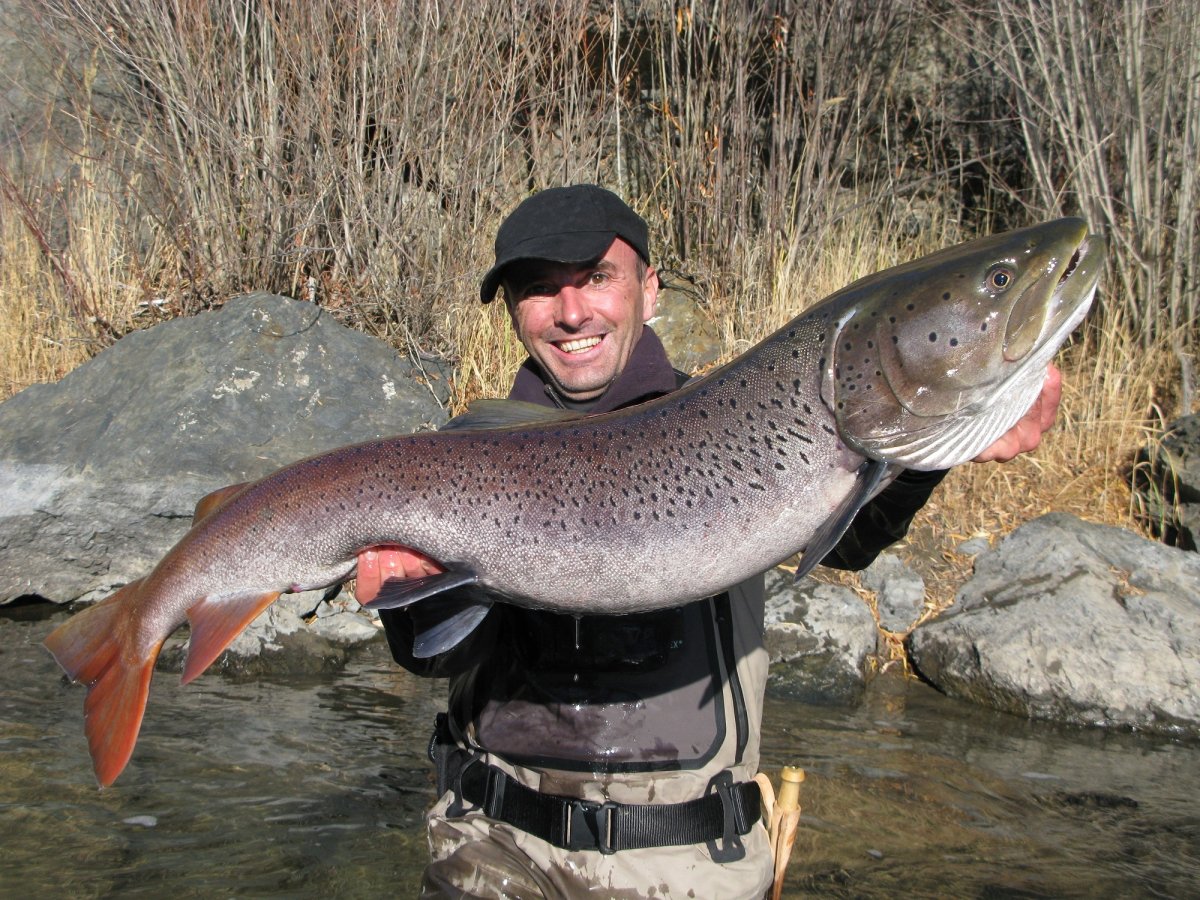 Сибирский Таймень