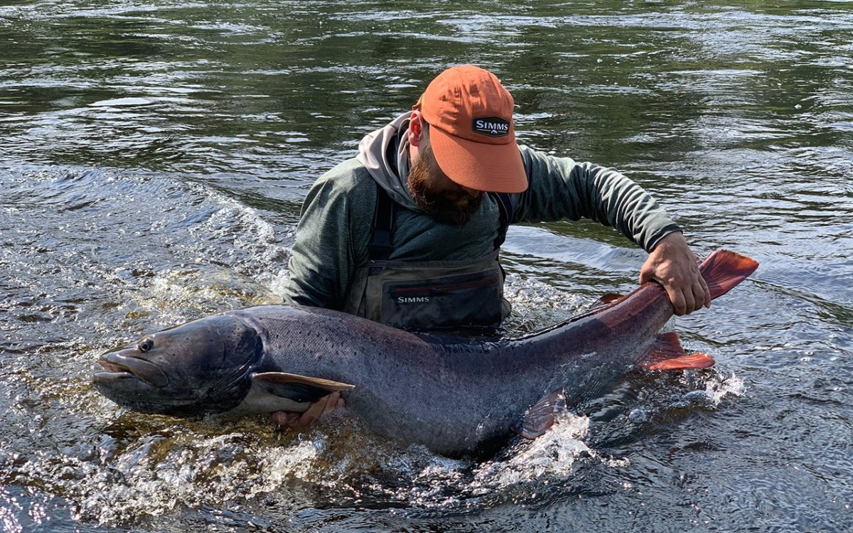 Таймень Дальневосточный