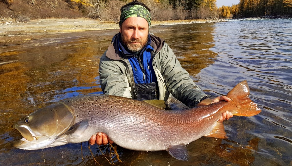 Таймень Уссури