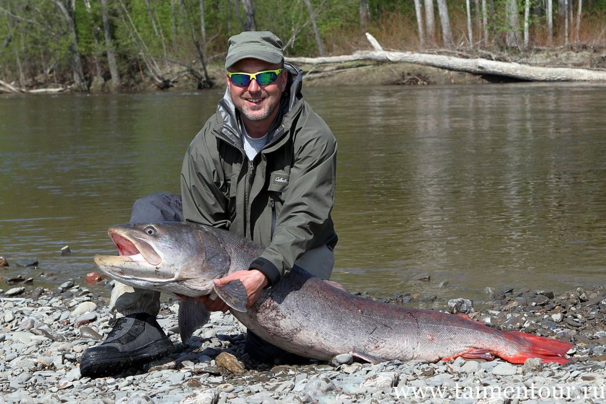 Таймень Амурский