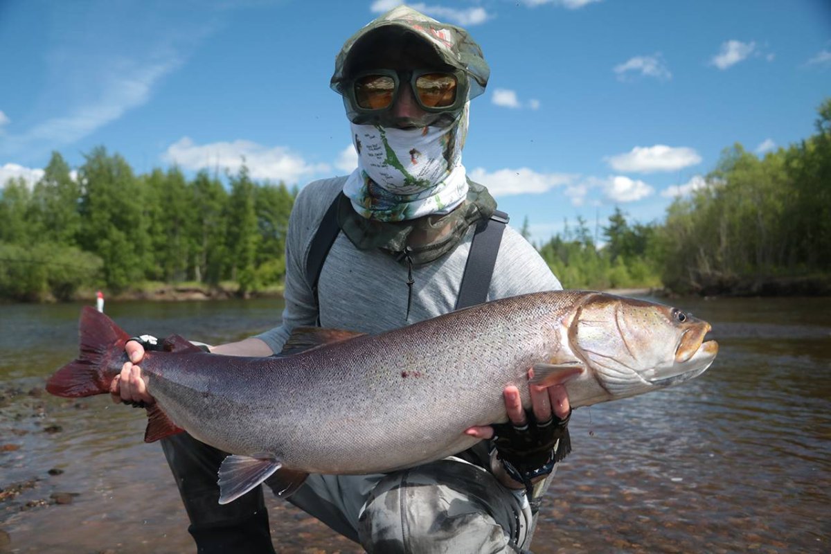 Кузнецкий Алатау хариус